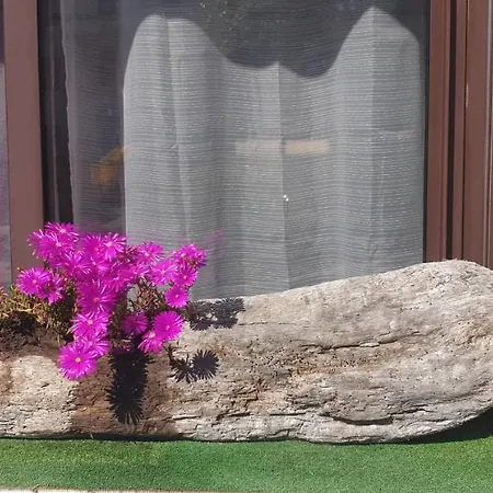 L'auberge Bed and Breakfast Galeria (Corsica)