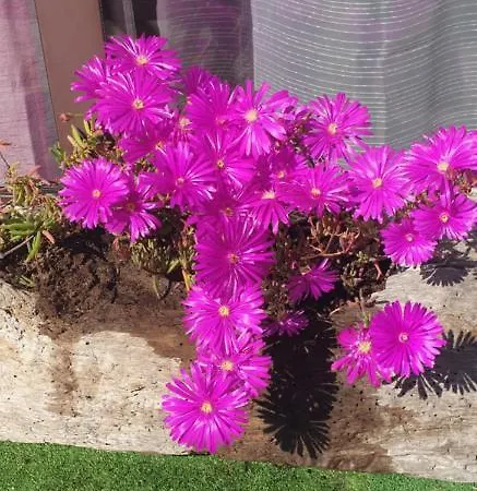 Bed and Breakfast L'auberge 3*