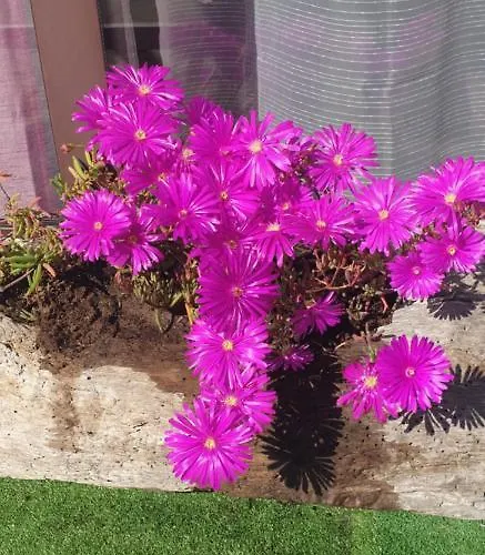 Bed & Breakfast L'auberge 3*